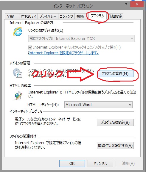 Internet Explorer で Flash Player を無効にする方法
